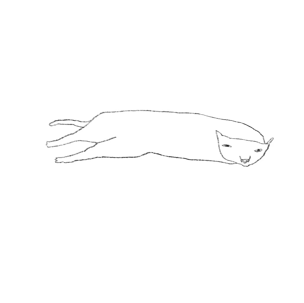 长条同事 / Longbody Colleague