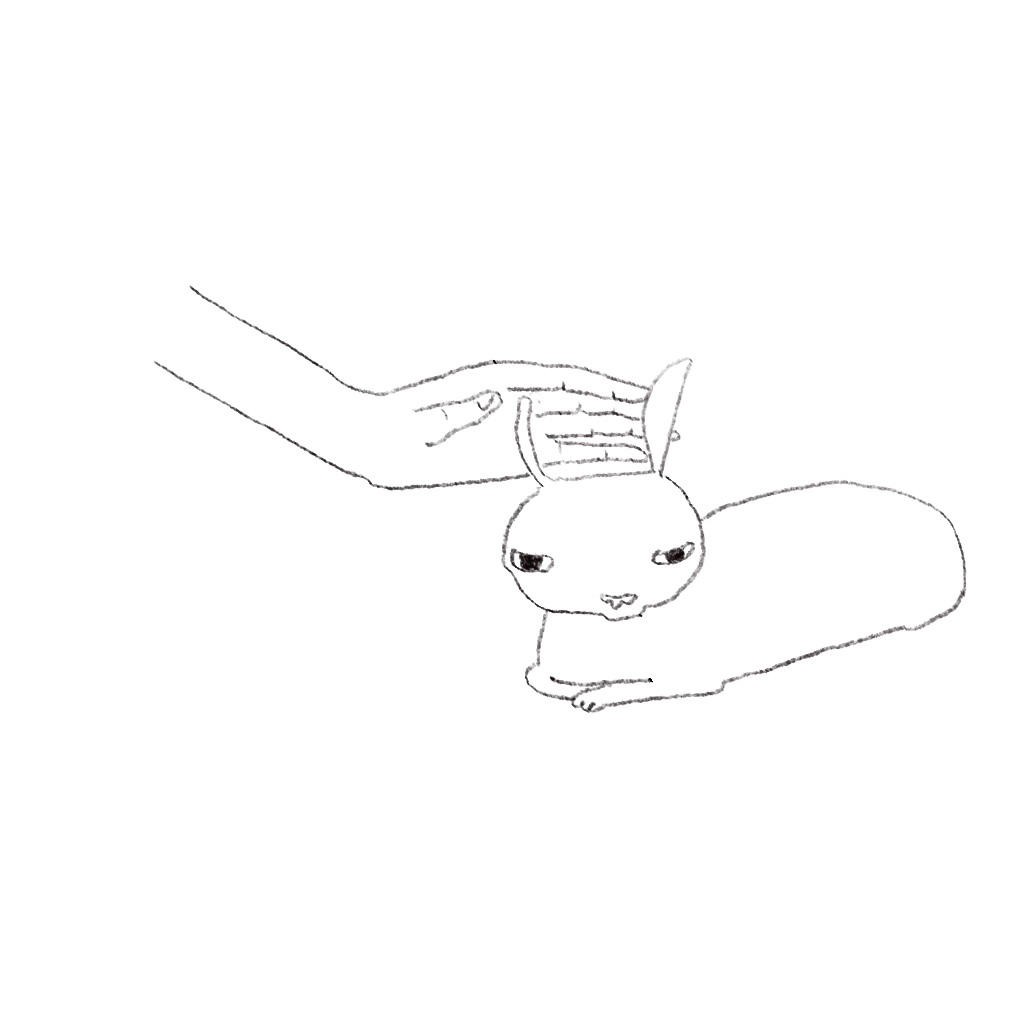 随缘 / Suiyuan