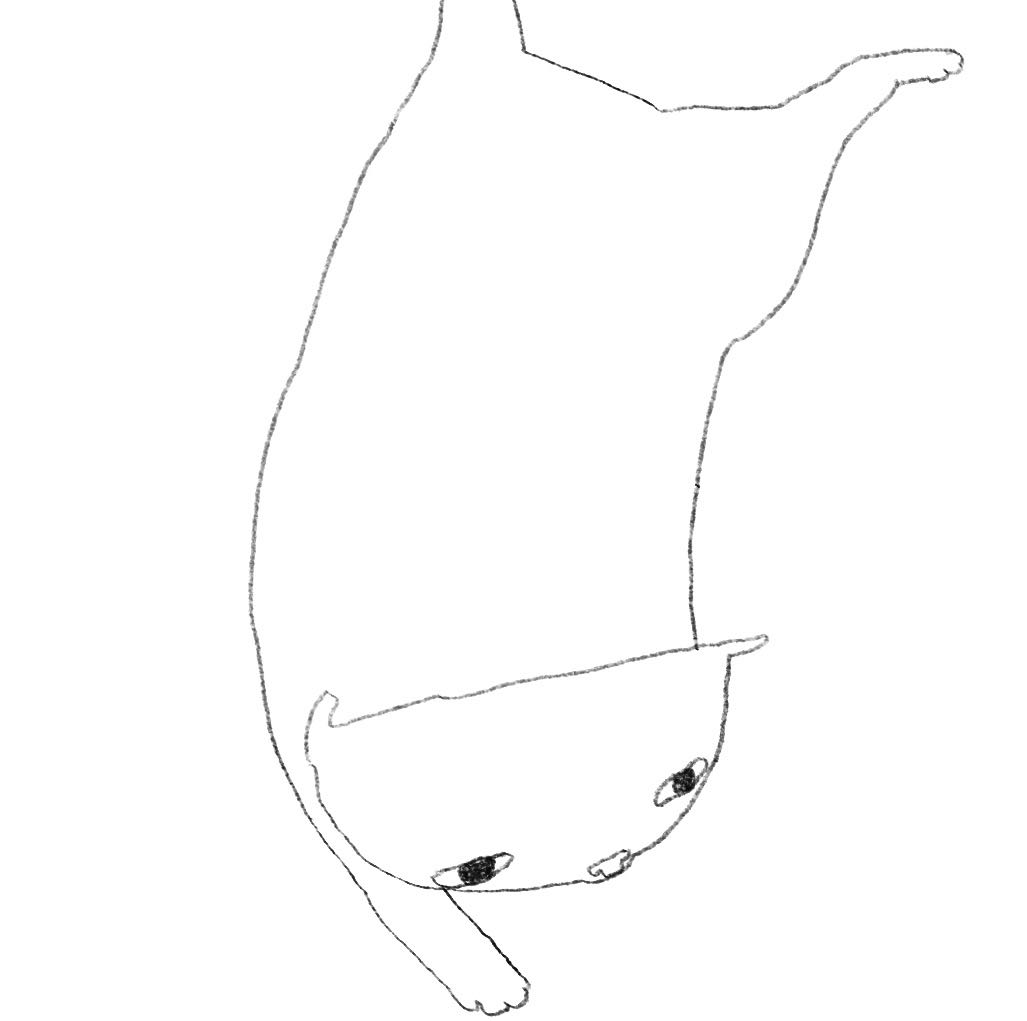 朴朴 / Pupu