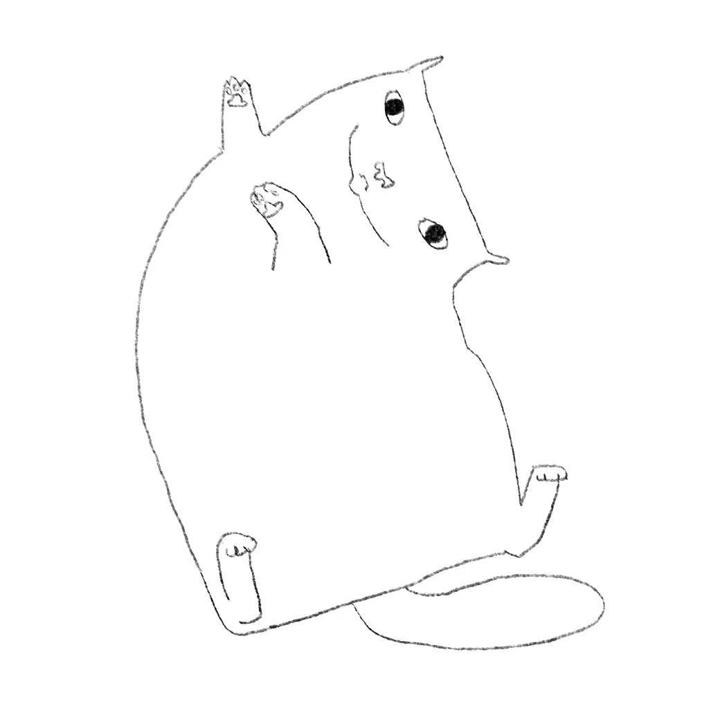 卡卡 / Kaka