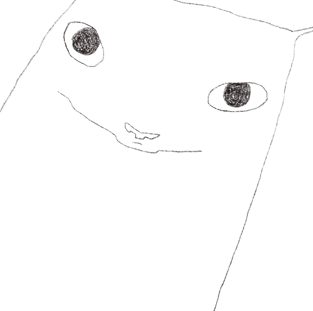 丑丑的猫