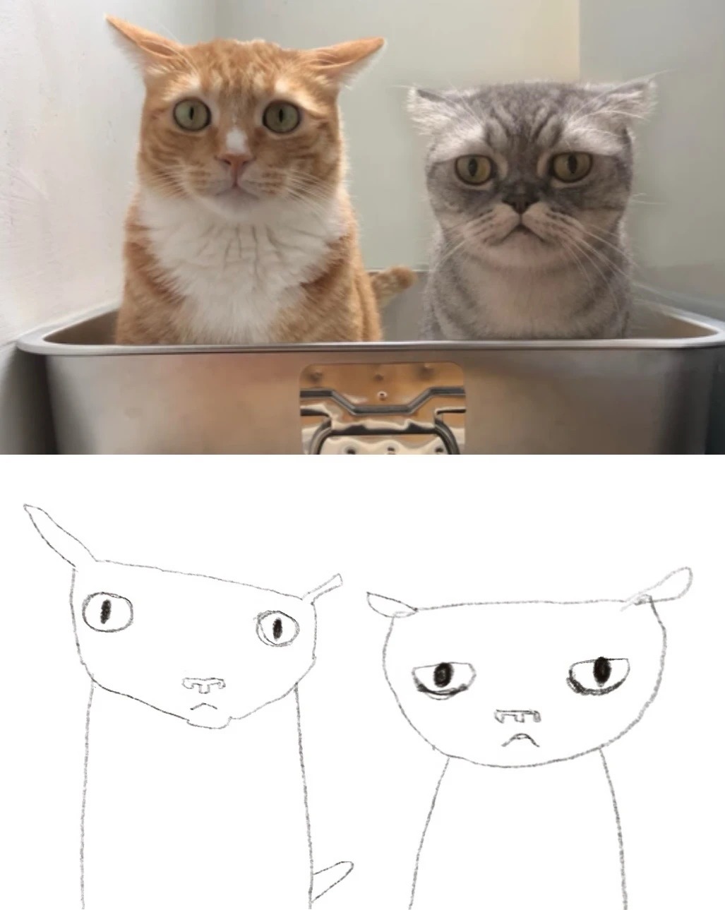 两只猫及其丑猫画像